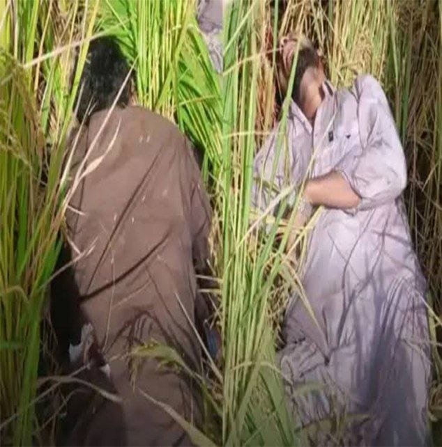 Broyherde's tweet photo. @hatradio775 @SomayG22867 Unreal paki coping, better collect the bodies of mlecchs killed in Tarn Taran today https://t.co/wJ0TuxGUio