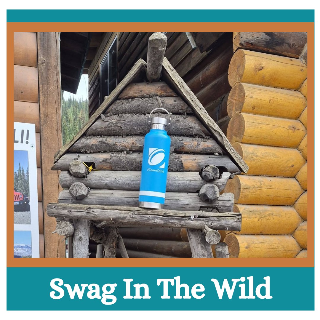 OlyOrtho's tweet photo. Swag in the Wild! One of our #TeamOOA members recently traveled to the breathtaking Denali National Park in Alaska! 🏔️ And, of course, our ever-handy Oly Ortho Ambassador swag water bottle came along for the adventure! 💙
#TeamOOA #LifeInMotion #OlyOrtho https://t.co/v6S2qASF0m