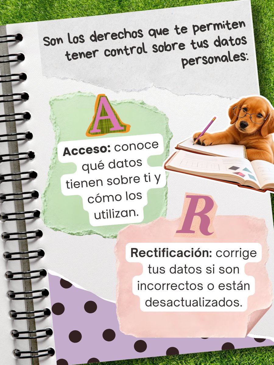 AG_INEoficial's tweet photo. #AGComparte | ¿Sabes qué son los derechos ARCO? 🔎
Conócelos y descubre cómo puedes ejercerlos para tener mayor control sobre tus datos personales.
👇 Te lo explicamos de forma sencilla en esta infografía.
#DerechosARCO https://t.co/BSTiLUdcPH