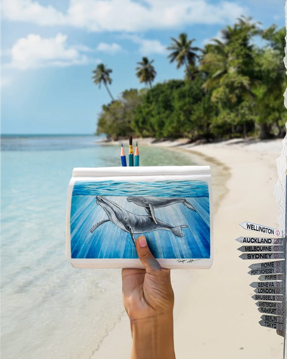 juampedrok's tweet photo. traveled all the way to the Pacific Island Kingdom of Tonga 🐳

Some of you wanted more sketches on the feed. I hope you enjoy this piece and a few photos from our magical whale swimming experience here ☺️

We’re going back in August for you to join! ... https://t.co/zl0GVIzW0X