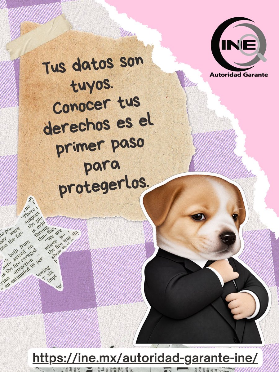 AG_INEoficial's tweet photo. #AGComparte | ¿Sabes qué son los derechos ARCO? 🔎
Conócelos y descubre cómo puedes ejercerlos para tener mayor control sobre tus datos personales.
👇 Te lo explicamos de forma sencilla en esta infografía.
#DerechosARCO https://t.co/BSTiLUdcPH