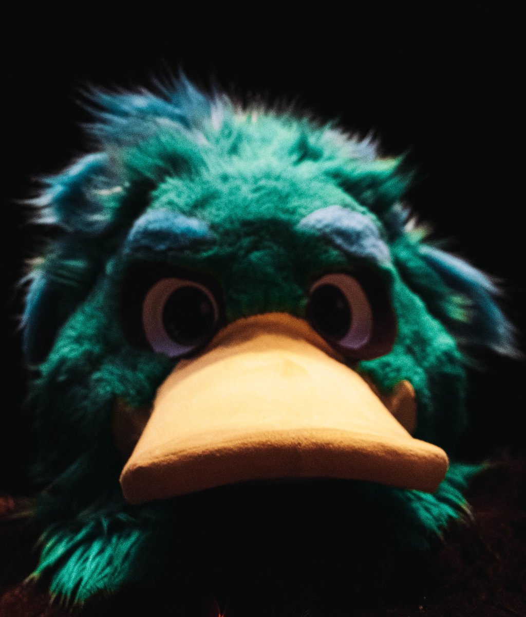 PcEnte's tweet photo. Duck-spook season is here — happy Fursuit Friday!

📍 Eurofurance Hamburg 
📸 Gopher_furr

#FursuitFriday #EF30 https://t.co/cyaSAn1Gro https://t.co/X7cpVPSn9T