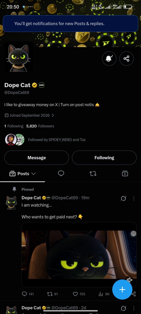 synniaah's tweet photo. @Cryptoze @DopeCat69 6DaBeo8SPwZgEivfnMV9eKyhttDaTo2rxkktngAi1kri
@fineboywill https://t.co/eKxYOgZHzW