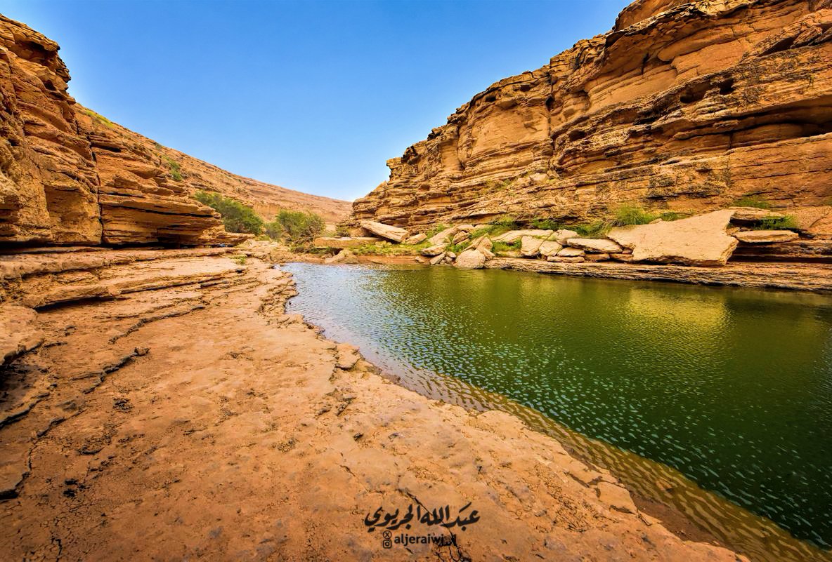 aljeraiwi_1's tweet photo. قلتة الذباحية * :
مزار طبيعي جميل وأنيس، يقع شمال بلدة القرينة، يزداد جماله في مواسم الأمطار والسيول والربيع، حين تمتلئ القلتة بالمياه، فتغدو وجهة محببة للتنزّه والاستمتاع بالطبيعة.

وجاءت تسمية قلتة الذباحية نسبة إلى الشعيب الذي تقع فيه، وهو شعيب الذباحية، الذي يبدأ من ظهرة مطحي شمال شرق حريملاء، ثم يمتد حتى يصب في شعيب ملهم.

يمكن الوصول إلى قلتة الذباحية من طريقين، ويختلف اختيار الطريق بحسب الغرض من الزيارة:

فمن أراد الوصول إلى القلتة والوقوف عندها أو السباحة فيها، فعليه الدخول بالسيارة إلى شعيب الذباحية من الطريق الرابط بين القرينة وملهم، ثم مواصلة السير داخل الشعيب حتى نقطة يتوعر عندها الدرب، ومن هناك تُترك السيارة ويُستكمل الطريق سيراً على الأقدام حتى القلتة.

أما من أراد مكاناً شرحاً للجلوس والاستمتاع بإطلالة علوية على القلتة ومشاهدة منظرها العام، فبإمكانه سلوك الطريق الرابط بين بلدتي القرينة ودقلة، ثم الدخول في الدرب المؤدي إلى القلتة، ويبلغ طول الدرب قرابة ( 4 ) كيلومترات**.

وعند الاقتراب من الموقع من الأعلى، يلفت النظر في أحد جنبات الشعيب رجم حديث ومصلّى صغير مصفوفان بالحجارة، وكأنهما يرحبان بالزائر ويشيران إليه بأن قلتة الذباحية ترقد في الأسفل.

موقع القلتة:
https://t.co/GWiI6kynzC
ــــــــــــــــــــــــــــــــــ

* القلتة: الحفرة في الأرض الصلبة التي يجتمع فيها الماء.

** مفرق القلتة موثّق في خرائط الرحّال .

*** الإضاءة الظاهرة على الرجم مضافة من الكاتب لأغراض التصوير.

**** تاريخ اللقطات:
الصور التي تظهر فيها القلتة ممتلئة بالمياه التُقطت في شهر  رجب 1436هـ . 
أما اللقطات التي تظهر فيها القلتة ناضبة فكانت في شهر ربيع الآخر 1448هـ.