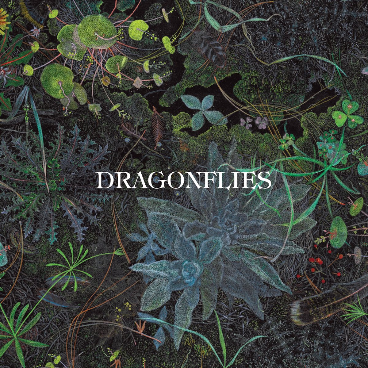 geoharrisonbr's tweet photo. NOVO ÁLBUM DE DHANI HARRISON! 💚🧚

No dia 18 de setembro de 2026, @DhaniHarrison lançou o disco de estreia de seu novo projeto, 'Dragonflies'

LEIA A THREAD ABAIXO PARA SABER TUDO SOBRE! ⬇️ https://t.co/PMsJEWlOCZ
