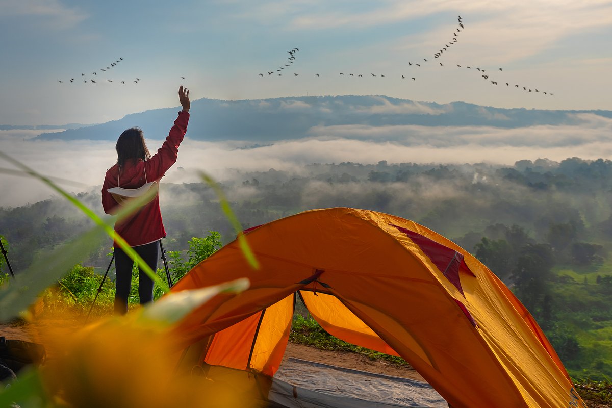 LaylaWeirlv's tweet photo. Amanecer en la montaa, café caliente y el sonido del viento en el bosque: el mejor fin de semana de campamento  #Camping #Naturaleza， https://t.co/K8Z22r0YPP
