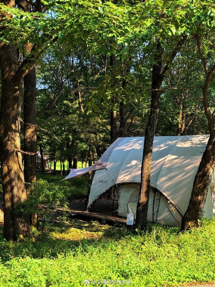 eloy_n_8128_d16's tweet photo. I used castor leaves here, no heavy tents but a lonely quietness. https://t.co/YyQWRISvrX