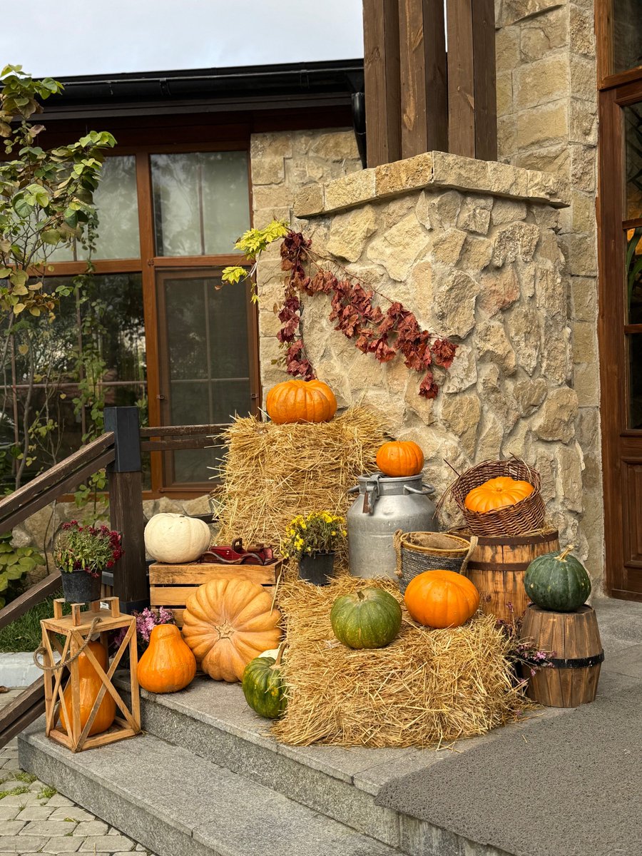 Angels4Alz's tweet photo. Fall Decor Debut: Find Treasures &amp; Fund Hope

We’ve brought out all our fall decor, platters &amp; serving dishes! Your treasures fund vital NC Alzheimer's research &amp; support local caregivers.
.
Learn about our thrift locations!
https://t.co/oSHNtYr2eS https://t.co/NaorBjuoNQ