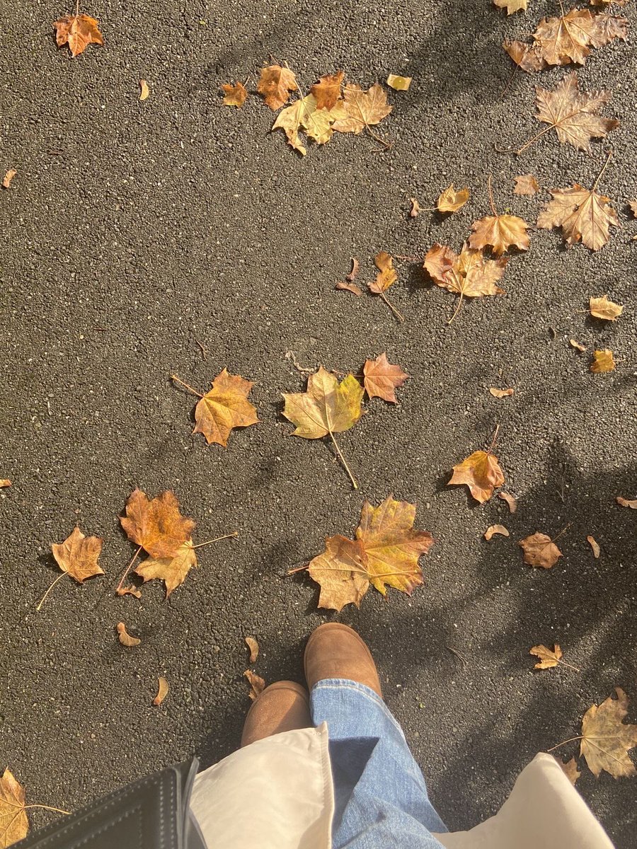 MariaRotarjr's tweet photo. ✨ Astăzi începe o nouă zi de toamnă în Chișinău.

Muzică în căști și orașul care își continuă ritmul. 🎶

#Chisinau #Moldova #Music https://t.co/0bsKM3GIlJ