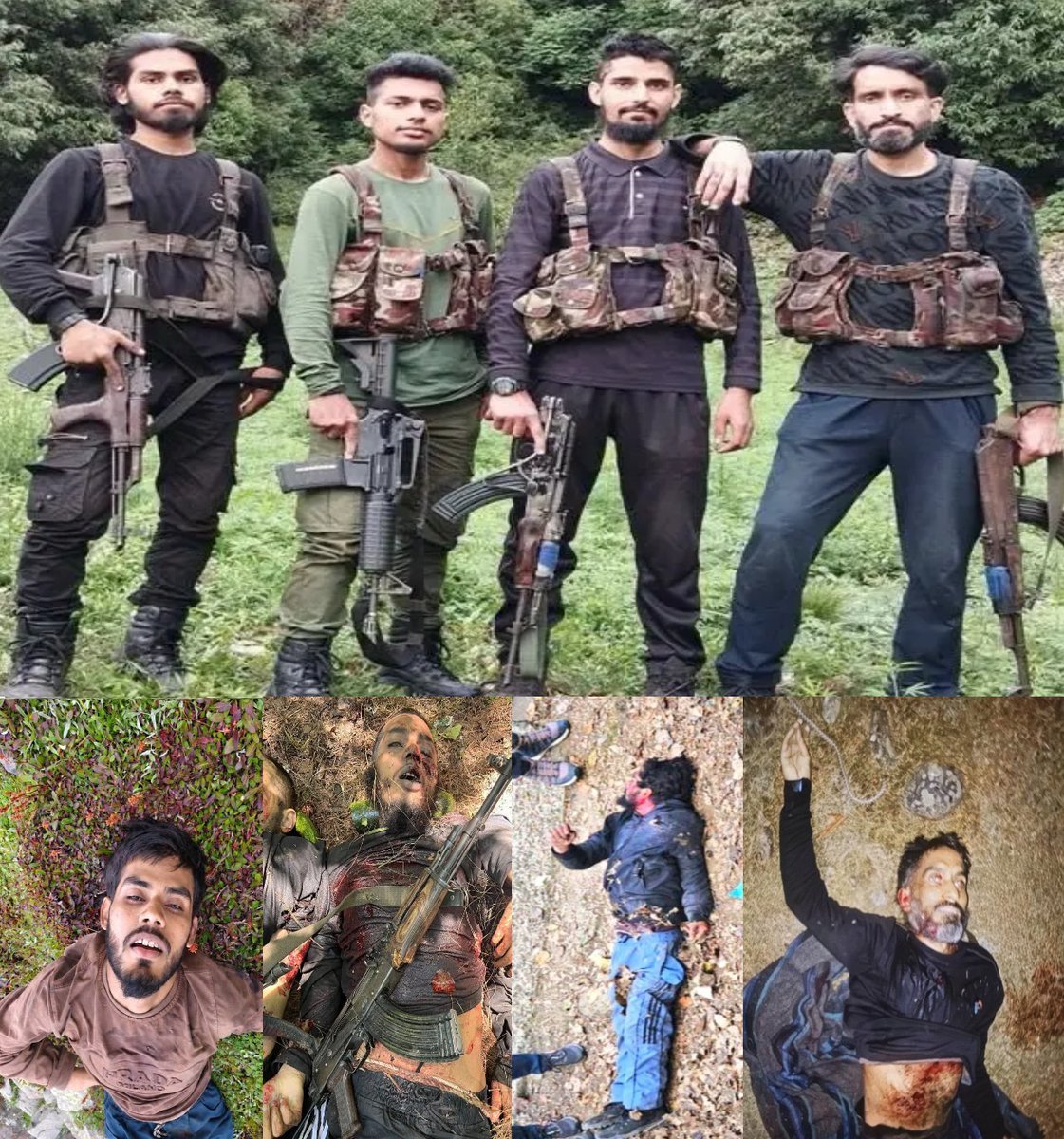 Babusahebbb's tweet photo. @KKhopri @Pak1stTeam @Irves_Watch U wana see pigs , look at them pick guns come to Kashmir and get 72eed like this. https://t.co/2S9PSEiDID