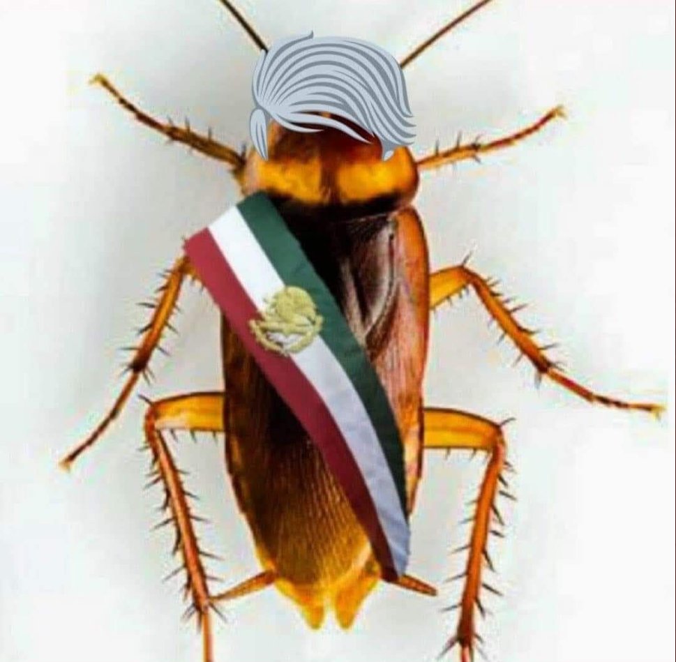 G3rry_Punisher's tweet photo. #2deOctubre No se Olvida y menos vamos a olvidar a un anciano decrépito, que más que gobernar, se dedicó a engañar a los chairos que creyeron en él y a saquear al País... hablo de #DonPendejo https://t.co/liDNzoqoyi