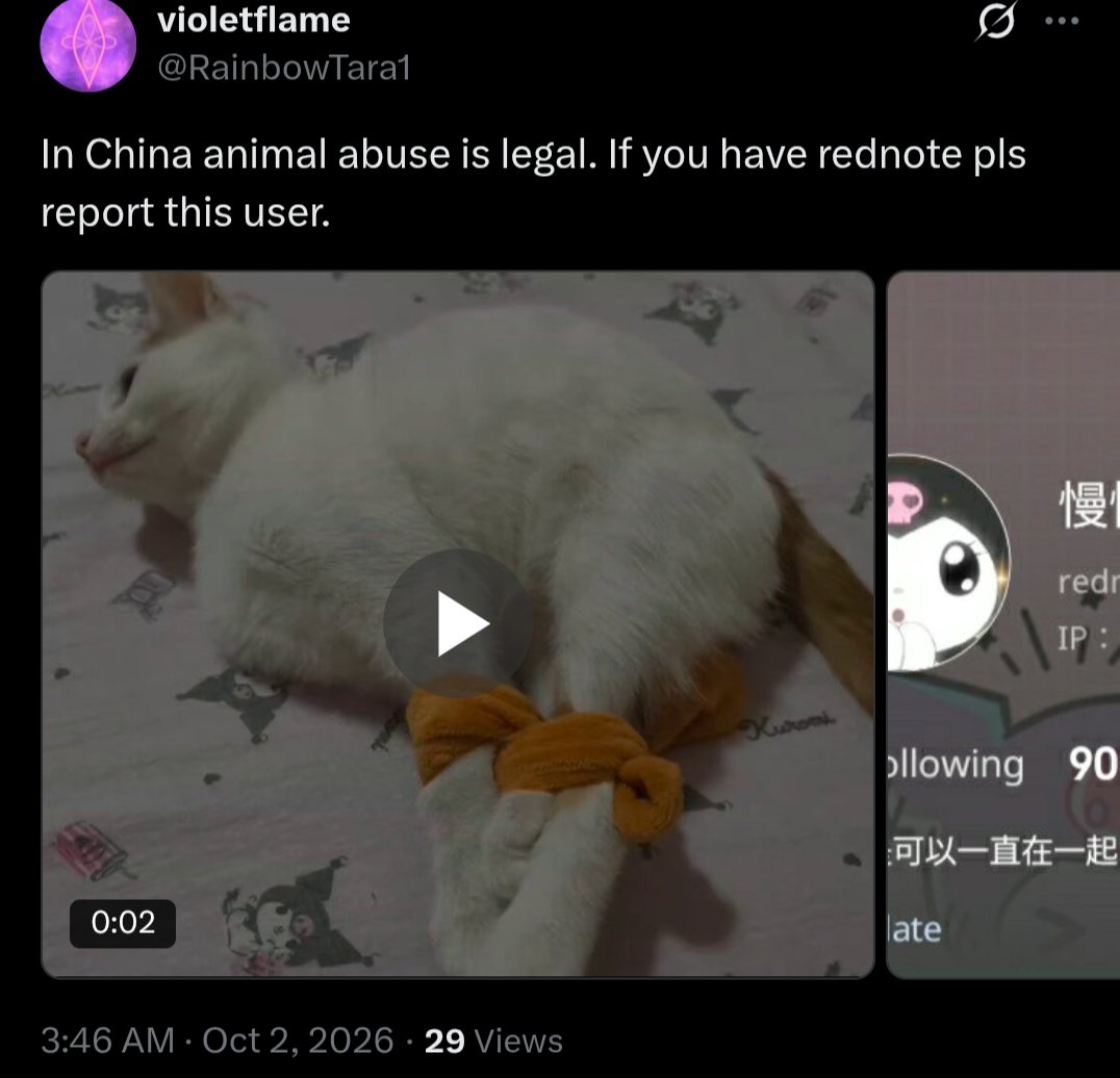 PhaedraXTeddy's tweet photo. 🆘 @xiaohongshu  is the "classy" Chinese social media, with the "classy" animal abuse .
#chinaexposed 🇨🇳
#StopAnimalCrueltyChina https://t.co/TUXf6UD0Wz