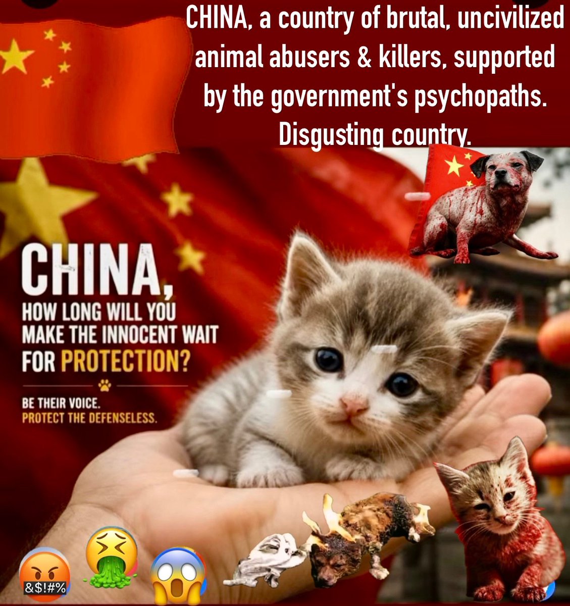 PhaedraXTeddy's tweet photo. 🆘 @xiaohongshu  is the "classy" Chinese social media, with the "classy" animal abuse .
#chinaexposed 🇨🇳
#StopAnimalCrueltyChina https://t.co/TUXf6UD0Wz