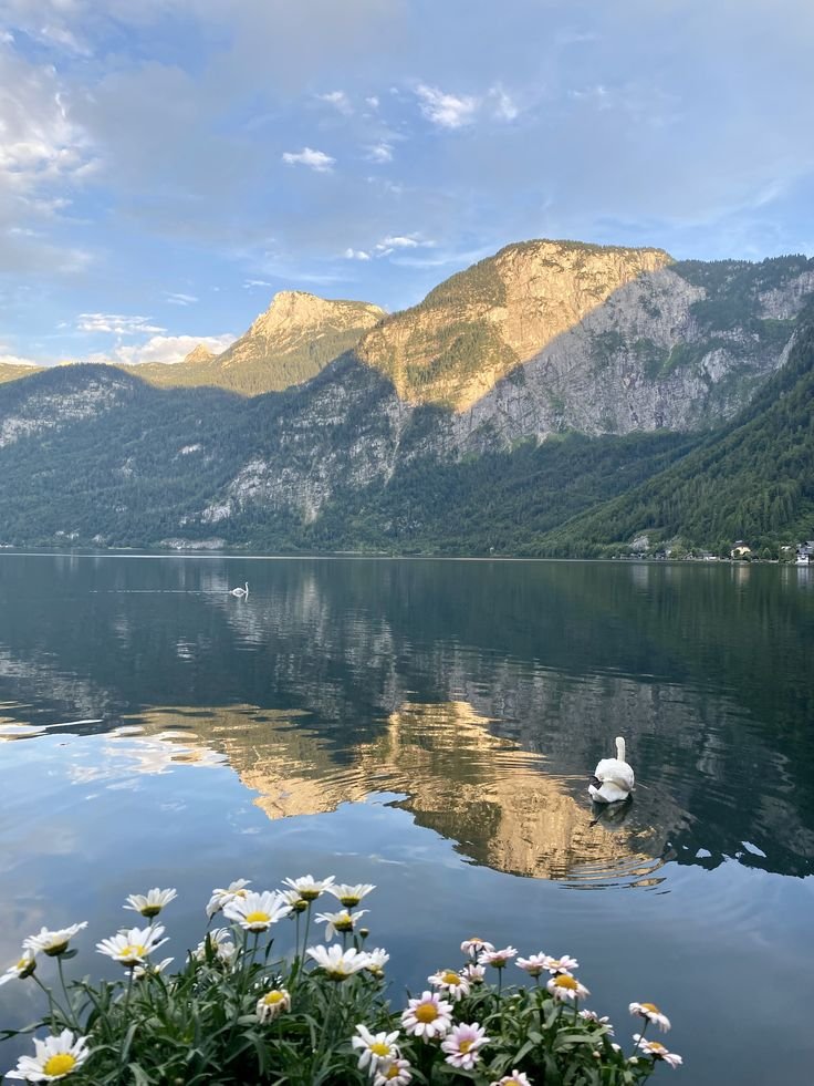 reminiscinbby's tweet photo. Hallstatt, Austria https://t.co/OG1JhCnVZx