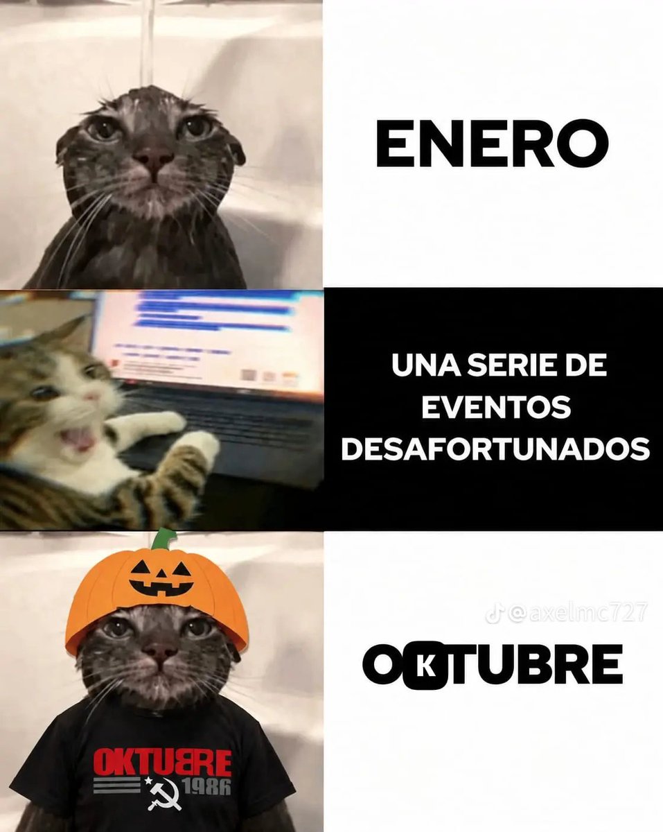 Dillomillonario's tweet photo. https://t.co/aGEqmyPDoM