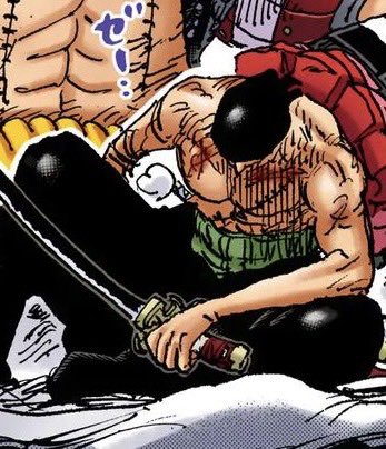 wadozoro's tweet photo. zoro. zoro please https://t.co/psOnz9W32P
