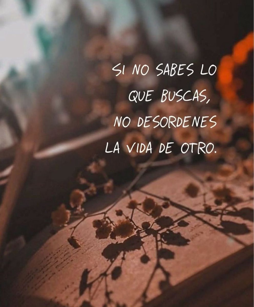 PauloCoelhoDice's tweet photo. https://t.co/RjpCZpnaDn