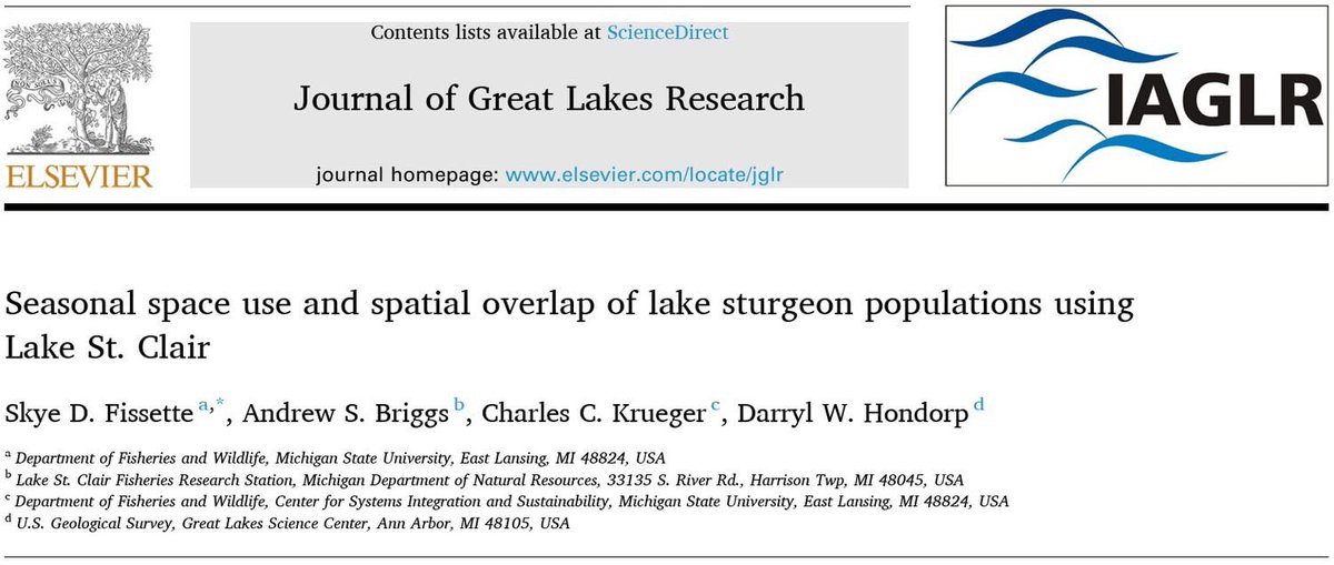 FishBio_Briggs's tweet photo. Check out this paper recently published on Lake Sturgeon spatial use of Lake St. Clair that we collaborated on! The study was very useful to our #sturgeon monitoring program.

#GreatLakes 

https://t.co/jxnzmbYaml https://t.co/oNNQgALObA