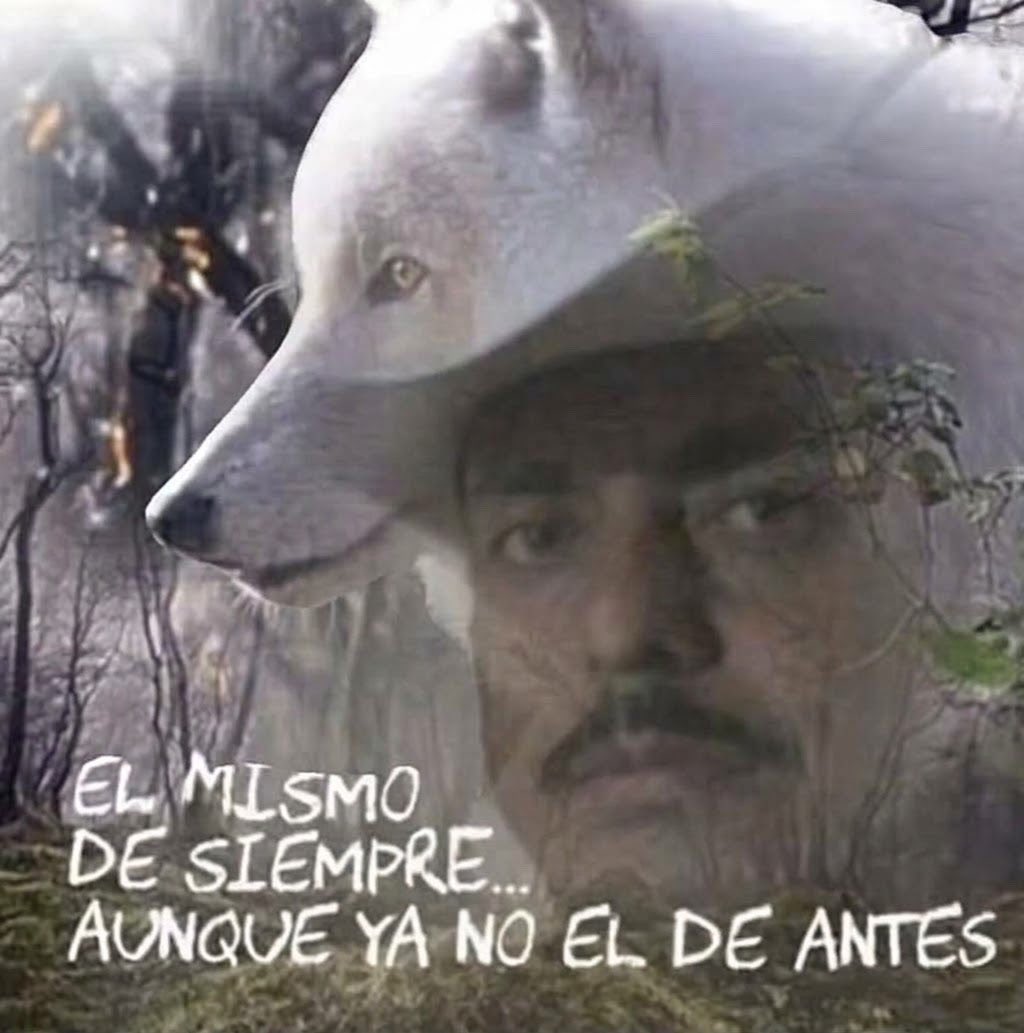 ye0yeo_'s tweet photo. Uno ya no esta pa estos trotes de estar con varios de seguido💔 https://t.co/l31WhNZO6F