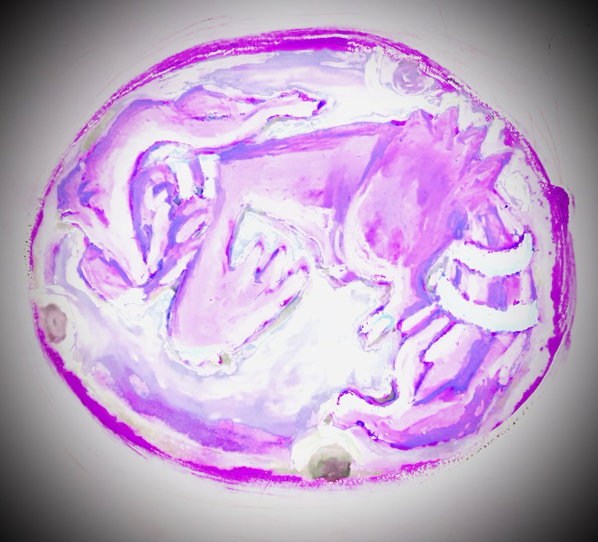 crayonsharpen's tweet photo. Day 2 of #inktober 
Relic https://t.co/URKoPjUnsu