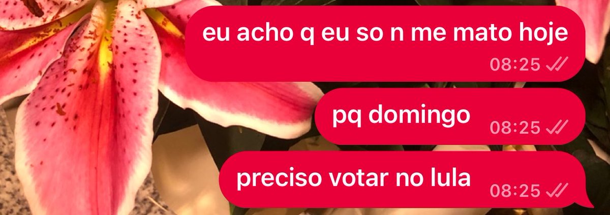 duardaslva's tweet photo. https://t.co/svMK30E0tA