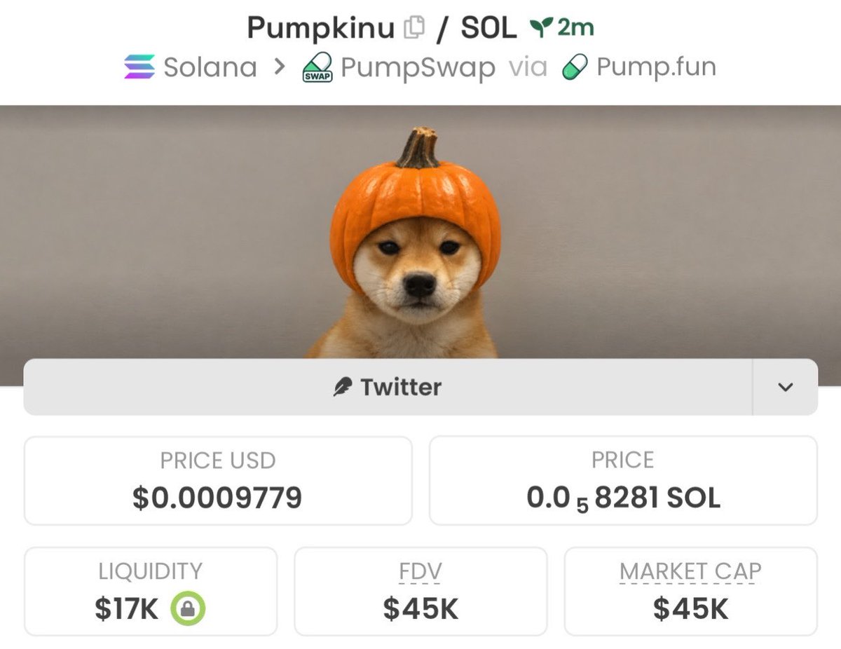 HyperTrades_'s tweet photo. My team is up on $Pumpkinu 

Bought at $45k MC

Ca; CJZaHX5RQbvKrRyMoUU9D3jyvXj8Yy7QLLmcKvoopump

On my TG https://t.co/8Kmr347bFQ