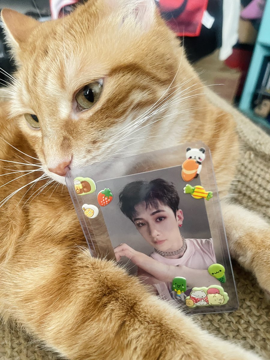 minho_ranita's tweet photo. Happy Channie Day hehehe ٩(^‿^)۶

#스테이의_영원한_자부심_방찬
#BangChanEmpireOfTalent
#HappyBangChanDay #BangChan https://t.co/2vPpQ8tlmR
