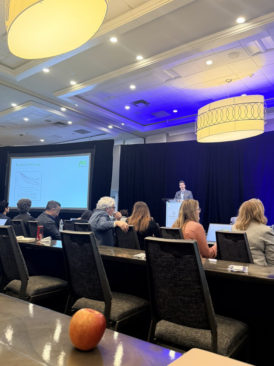 NaomiHabib's tweet photo. Great meeting discussing the needs for the next World Symposium in 2029, at PH Update 2026!  Discussions about risk assessment, remission, RV imaging, and more.   @SandeepSahayMD @anjalivaidyaMD  #pulmonaryhypertension #pulmonaryhypertensionawareness https://t.co/z9jjiiSp4d