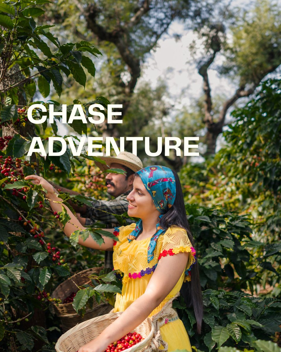 cloedaira's tweet photo. Adventure, wellness, and culture—Costa Rica has something for every traveler. From rainforest escapes to hot springs and authentic local experiences, I can help plan a trip that fits your style. https://t.co/bw2DUK4gWo