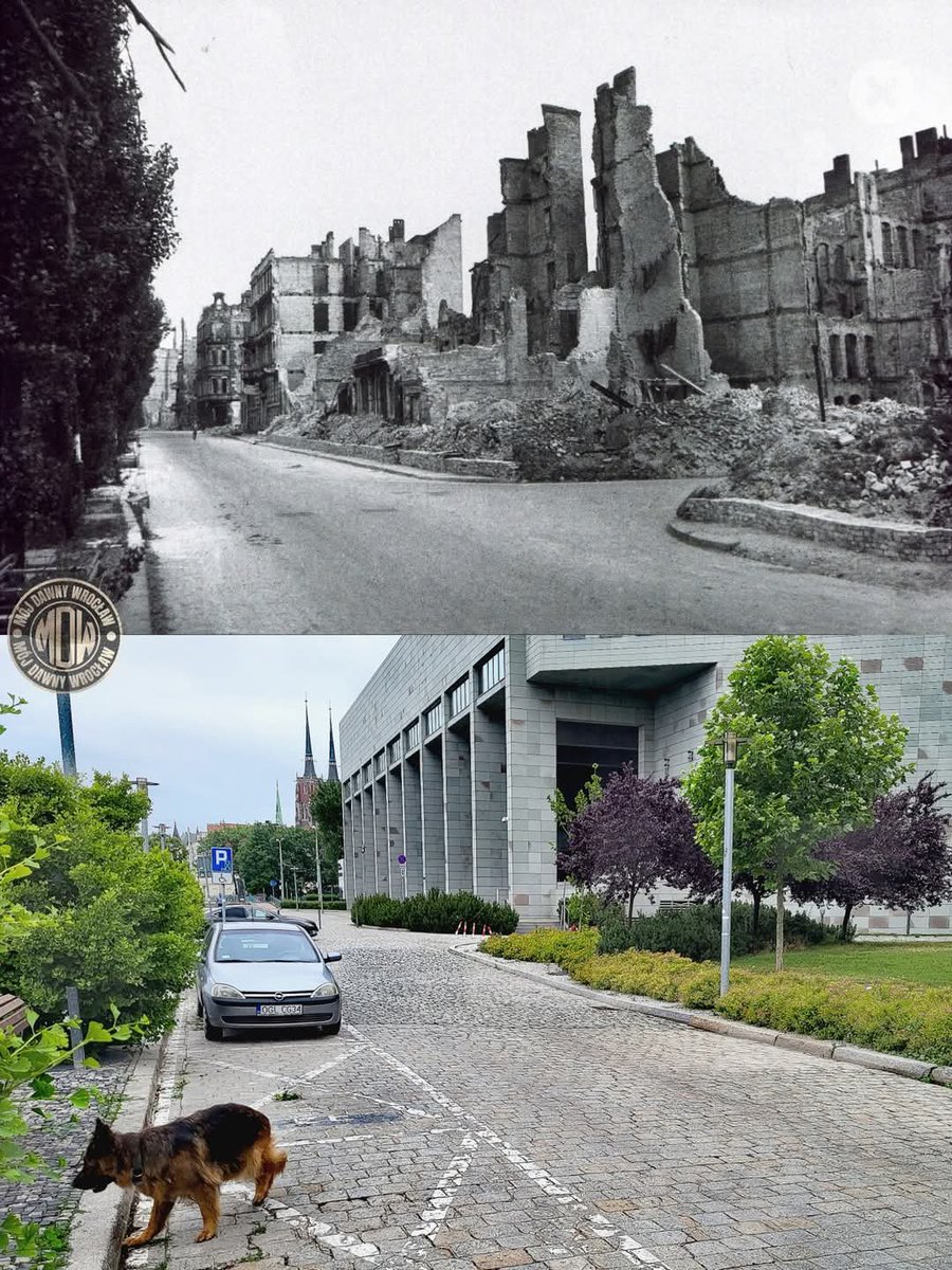 46Cochise's tweet photo. @ARK_Applepie Wroclaw 1945 - 2025 https://t.co/jMegHWtZ6X