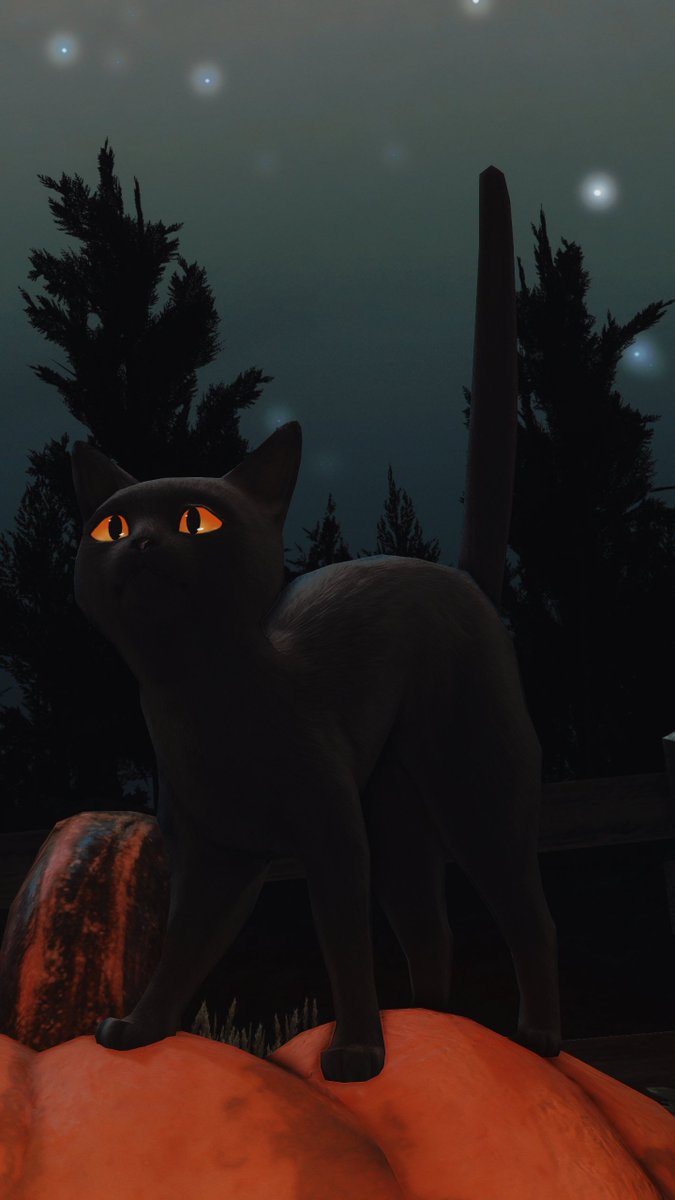 Metillia_FFXIV's tweet photo. Just picking the juiciest pumpkins of the season 🎃 https://t.co/W8hNX9pPjp