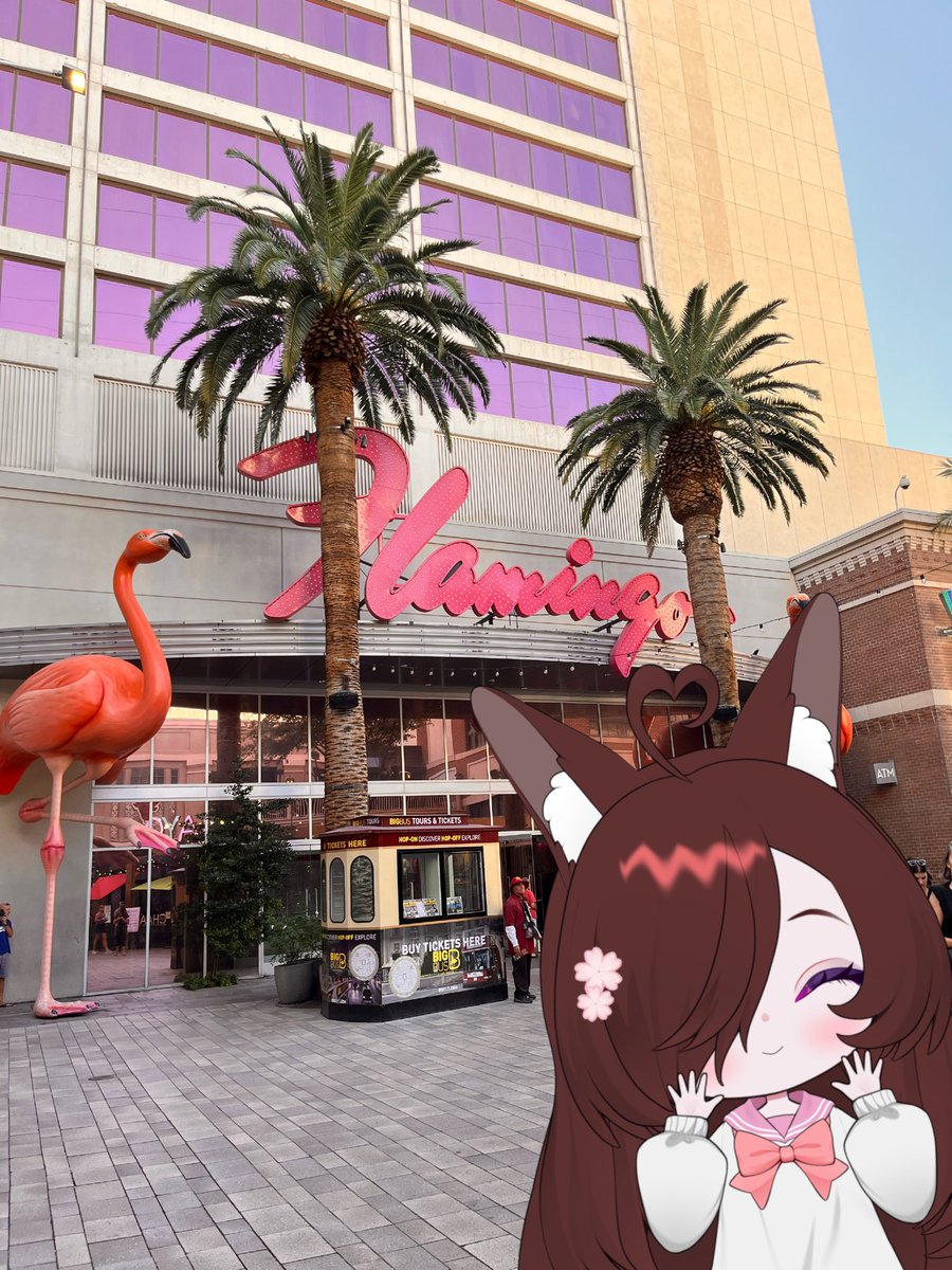 krazy1618's tweet photo. Checked out the flamingo! With real ones inside! 🦩 https://t.co/MFAGgxGNVC