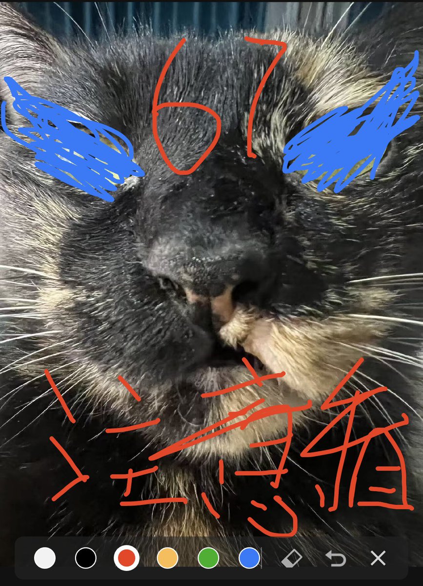 4EverN0w's tweet photo. 大半夜玩的笑死我了 https://t.co/8jkBVF2Yg3