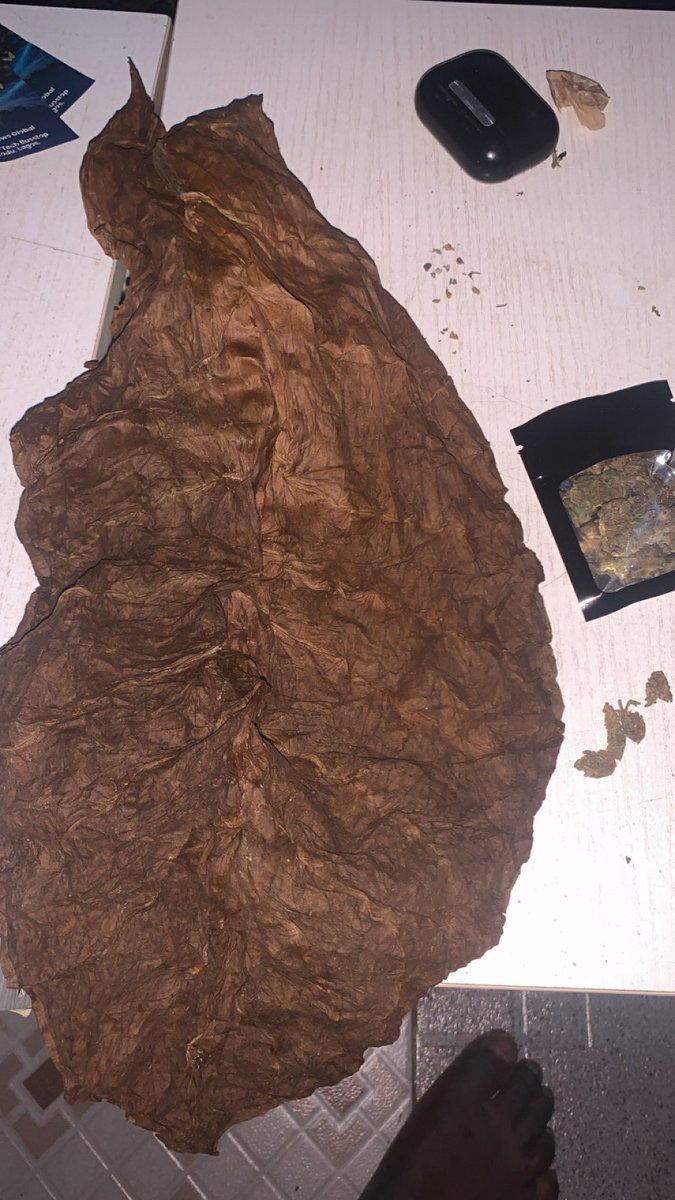 Dammie_Dammie's tweet photo. How many wraps do you think I can get out of this HQC Grabba leaf? https://t.co/Yqf188Dyc5