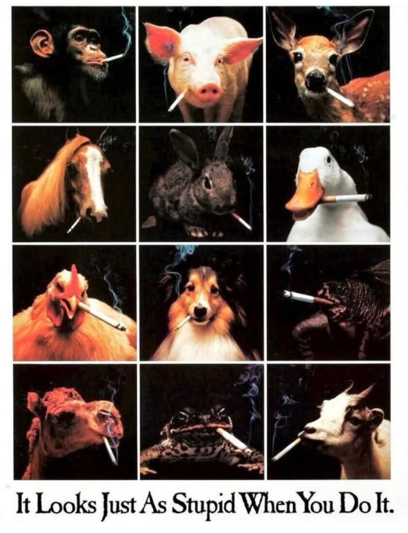 internetpreai's tweet photo. minnesota department of health posters 1989-1990 https://t.co/LPlRydWMrH