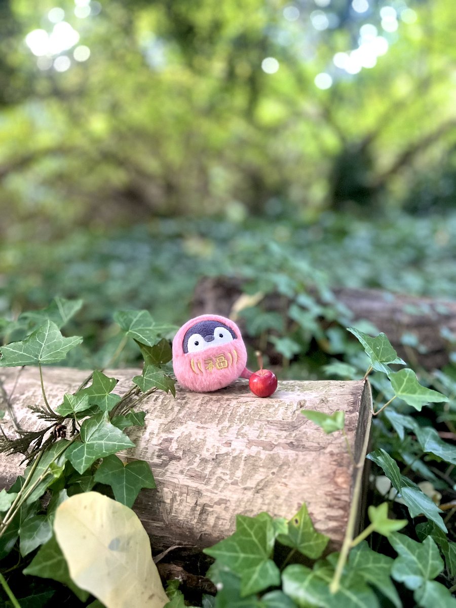 koupenchanusa's tweet photo. 森で林檎を貰ったコウペンちゃん🍎何林檎さんかなぁ〜？ https://t.co/wrxF2ULNub
