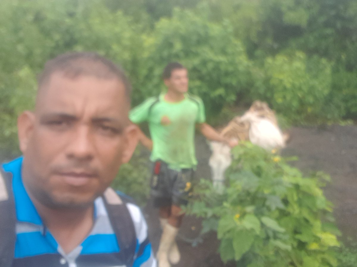 YoneisisJunco's tweet photo. El joven médico de la lata en #TercerFrente donde #NuestroEsfuerzoEsDiario también tiene un espacio preparándolo para producir alimentos para su familia y el pueblo.
#100AñosJuntoAlmeida https://t.co/vY7gQqGZZR