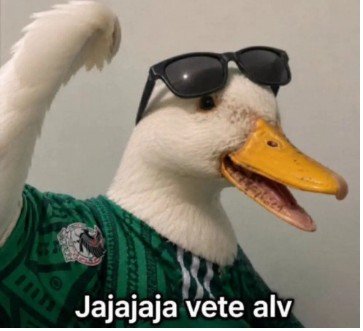 Rabito_Mex's tweet photo. @mario_dico50 Eres un súper pendejazo Mario 🤪🤪🤪🤪 https://t.co/xzRDbgqL5I