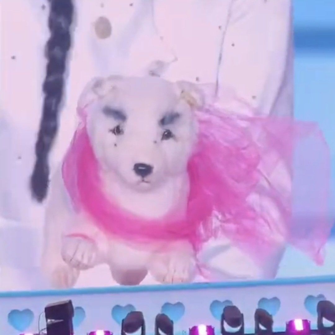 icepirnce's tweet photo. i wonder how my good friend gubaek is doing https://t.co/qDaV7BHrEO