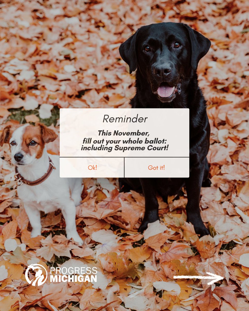 ProgressMich's tweet photo. Did you know? Candidates for the Michigan Supreme Court are nominated and supported by political parties, but they appear on the nonpartisan section of the ballot. If you vote a straight party ticket, that vote will not apply to the MI Supreme Court. Fill out your whole ballot! https://t.co/DL9pmDDchF