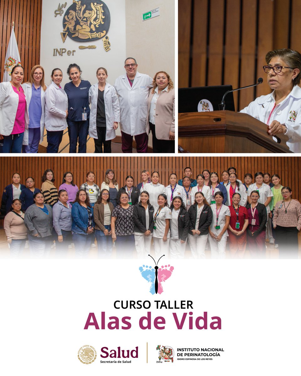 INPer_mx's tweet photo. #INPerAlMomento
Curso Taller
ALAS DE VIDA
#alasdevida #cuidadopaliativo #pérdidaperinatal #perdidaneonatal https://t.co/ufJEO3HpLA