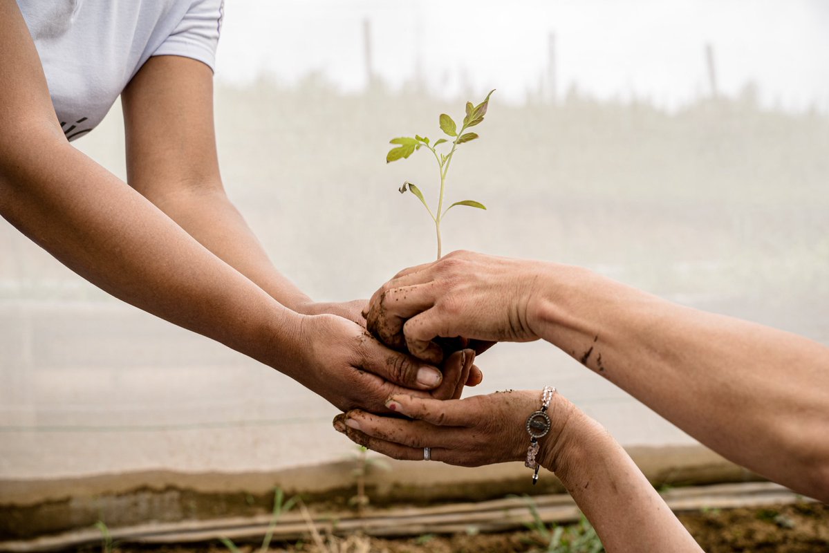 ONUMujeresCol's tweet photo. 🌿 La #ClimateWeek en #Medellín reafirmó que las mujeres son protagonistas de las soluciones climáticas y ambientales.
ONU Mujeres acompañó la jornada impulsada por @onucolombia y la @AgendaCAF sobre finanzas climáticas y de la naturaleza… 🧵 https://t.co/s6R0LF5tdW
