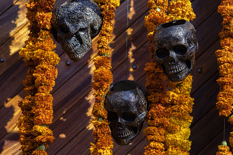 MilaCampbedrmg's tweet photo. Feliz Día de Muertos! Que tus seres queridos en el más allá sigan acompaándote con su luz. https://t.co/RyM1flbk06