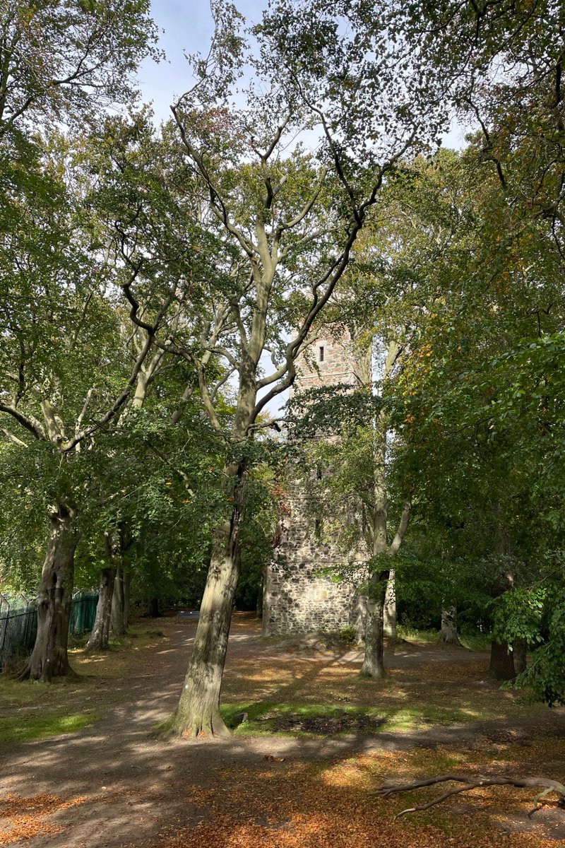 WeeDragon_J's tweet photo. Corstorphine Hill Tower https://t.co/8n4YBEEemK