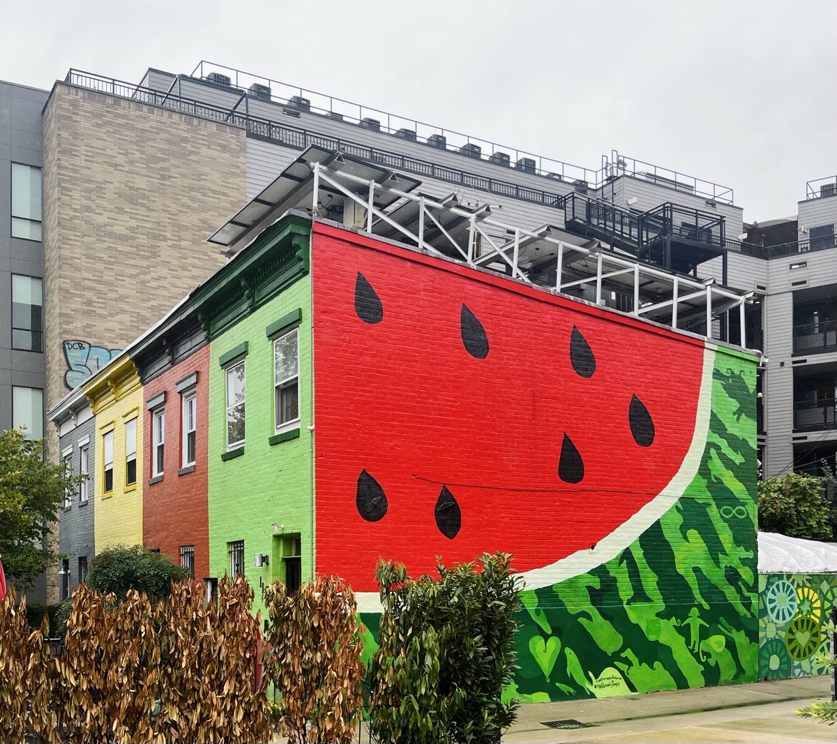 MttCarmichael's tweet photo. homes of logan circle https://t.co/h1wJOoFdd3