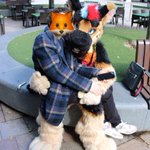 Photo by Ryker Shep 🐕🇬🇧 (@RykerShep)