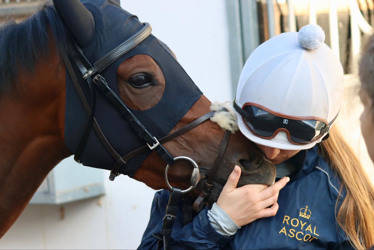 vespersolis's tweet photo. Nightspell and @AlexandraEgan3 enjoying a cuddle at the yard https://t.co/WlFBGDymOt