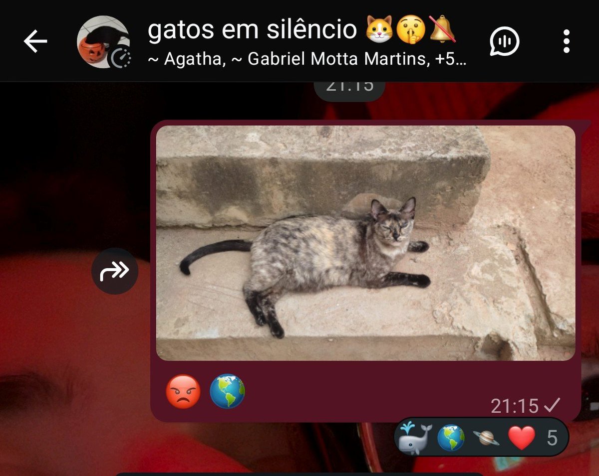 linjxx's tweet photo. @tortadefrango67 bullying por aki tbm https://t.co/rJJmJs4QqF