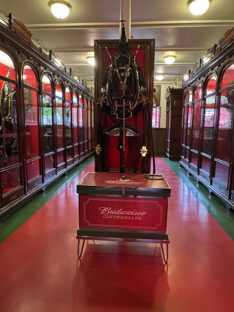 Jan812314's tweet photo. If course, no Anheuser Busch brewery tour would be the same without seeing the wagons and Clydesdales! 

Hope you enjoy these as well! I had such an awesome time! 
#AnheiserBusch
#Clydesdales
#StLouis https://t.co/PkRERmAvsv
