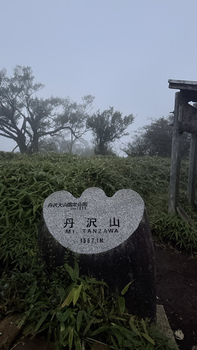 inan_sui's tweet photo. 丹沢山！ガスっとる https://t.co/aPQJI3BPDx